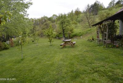 Topoloveni - Casa cu teren 1500 mp langa padure, garaj, anexe - 18