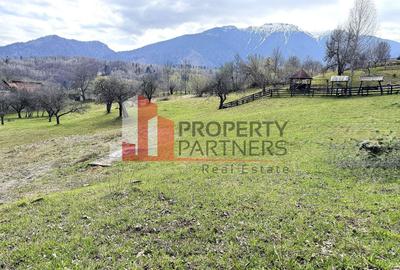 TEREN 2.495 MP | BRAN – SOHODOL | VEDERE PANORAMICĂ SPRE BUCEGI - 2