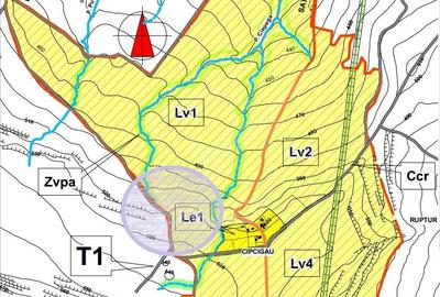 Teren in Padureni - Chinteni, 5800 mp, intravilan, Lv1 - viitoare constructii - 2