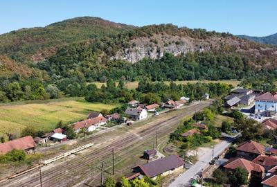 Casa vacanta,investitie  in Gurahont cu teren generos - 20