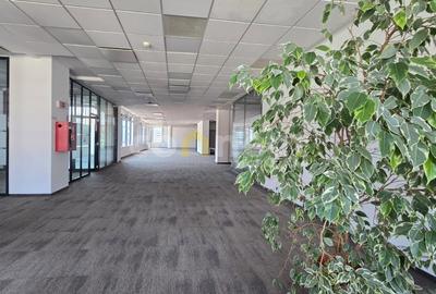 Birouri moderne de inchiriat 900 mp I Parcare subterana I Ultracentral Cluj - 1