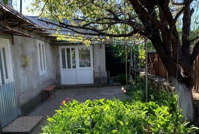 Proprietate de vânzare în Măcin – 6000 mp teren, vie productivă + proiect casa - 3