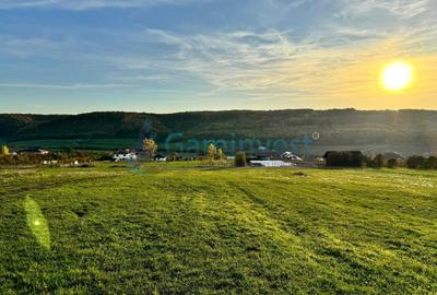 Teren de vanzare in Betfia, 5487 mp intravilan, Bihor - 1