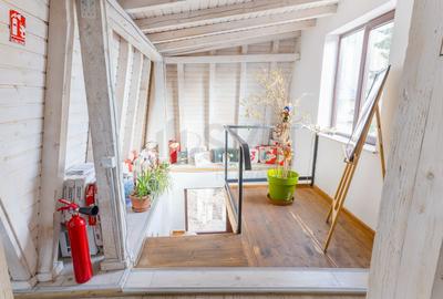 REC3001753 SPATIU BIROURI l VILA RENOVATA l 5 CAMERE l PARCARE l DOROBANTI - 20