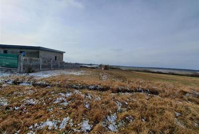 RECO teren Cordau - 3