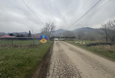 Teren 1200 mp Vadurele - comuna Alexandru cel Bun , cu utilitati - 6