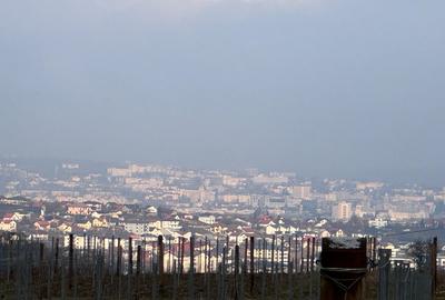 Teren intravilan, Visan - 1