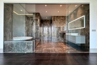 REA1017888 Pethouse Premium 261MP I Floreasca I View Deosebit - 2