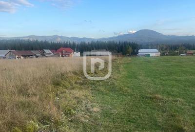 Teren intravilan  – Poiana Stampei 🌲 - 2
