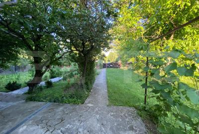 Casă solidă de vânzare 120mp, 1840mp teren la strada principala Paun - 2