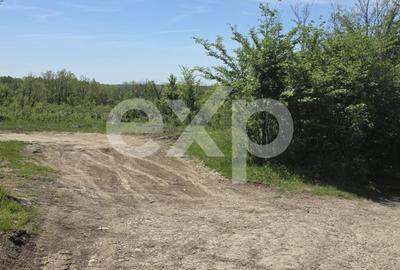 Teren 3015 mp Moșoaia | Zonă liniștită lângă pădure | Ideal casă | 15,99 €/mp - 4