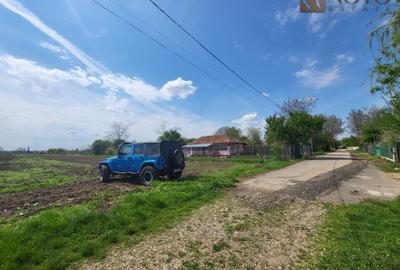 Teren 11.000 mp | Gradistea | Oportunitate Dezvoltare - 9