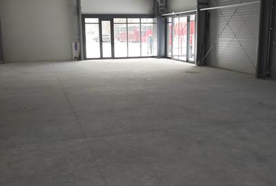 Inchiriere spatiu comercial - 8