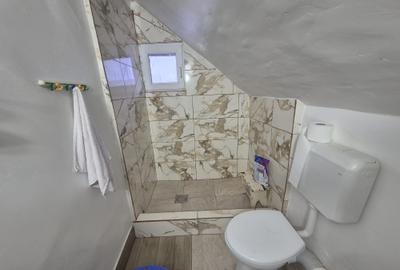 De vânzare | Casă bătrânească + teren generos | Zona Balaur – Dobren - 5