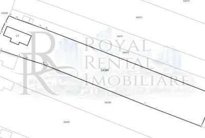 Comision 0! | Casă + teren generos | 2600 m² | Oportunitate unică - Faureni - 9