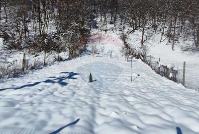 Teren intravilan în Tilișca, zonă montană superba! - 6