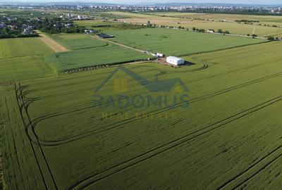 TEREN INTRAVILAN 10.000 MP – PLOIEȘTI VEST - CARTIER MITICĂ APOSTOL - 3
