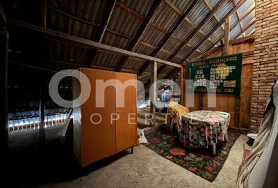 Casa cu piscina de vanzare, cu 6 ari de teren, Unguras - 21