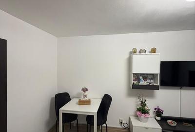 Apartament 2 camere de inchiriat Veteranilor - 3