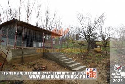 Casa Albota, Mares, 260 mp construiti, 1700 mp teren - 8