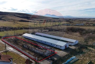 Teren industrial 1.729 mp I Demolare + construcție hală Teliu - 1