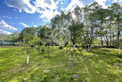 VANZARE CASA INDIVIDUALA | 1000 MP TEREN | TOCILE, SIBIU - 12
