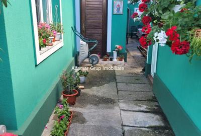 Casa individuala cu 3 camere Ferentari- Trompetului - 16