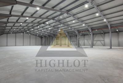 2750 MP HALA BALOTESTI| 5170 MP TEREN| A3| A0| DN1 - 13