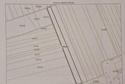 Teren agricol doua parcele una de 4.78 ha si una de 2.405 ha in Sibioara,Lumina - 3