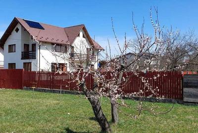 Casa cu 4 camere Pet frendly - zona Aleea 10 - Harman - 1