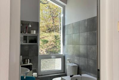 Vand cabana deosebita cu 4 cam. in mijlocul naturii,statiunea Bucin - 7