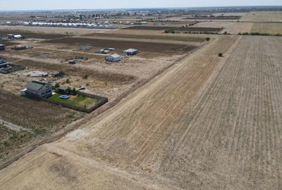 Teren Intravilan Com Berceni | utilitati: curent - gaz | #MG14E - 5