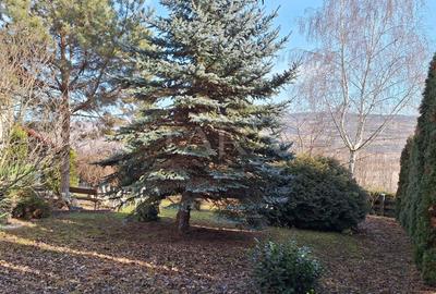 Casa Elegantă în Borhanci - 17