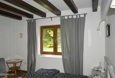Topoloveni - Casa cu teren 1500 mp langa padure, garaj, anexe - 13