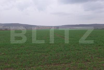 Teren agricol extravilan de 4200 mp, în Cugir