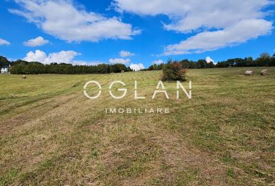 Teren Tocile (parcelabil) 3500 mp - 7