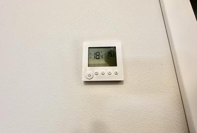 Casa tip duplex cu 4 camere si 356 mp teren in Mosnita - 17