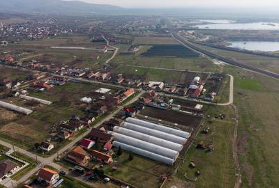 Teren 1.570 mp + casă din cărămidă–zonă liniștită - 7