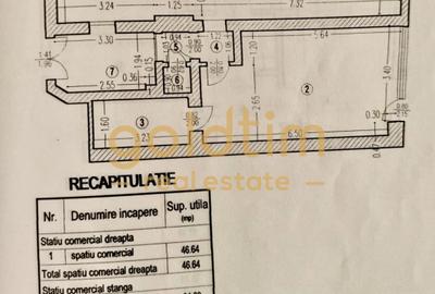 Vila interbelica D+P+1+M+spatii comerciale 340mp/necesita renovare/Gara de Nord - 15