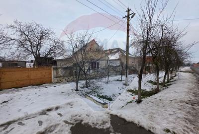 Gospodarie de vanzare in Giulvaz, judetul Timis - 4