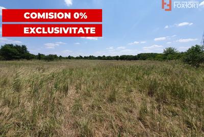 COMISION 0% Teren de vanzare intravilan de 5000 mp in zona Sagului - 10