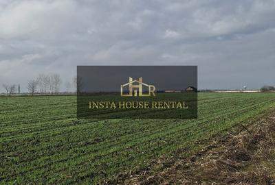 Teren 14377 mp Odai / Otopeni / - 1