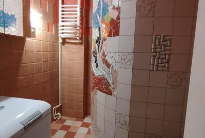 Vila desebita-POPA NAN- O oaza de liniste si verdeata in centrul orasului. - 7