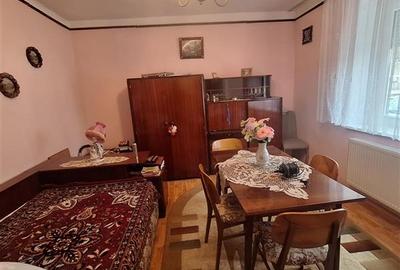 Bocsa Vasiova, Casa cocheta pentru familie, cu Gradina. - 10