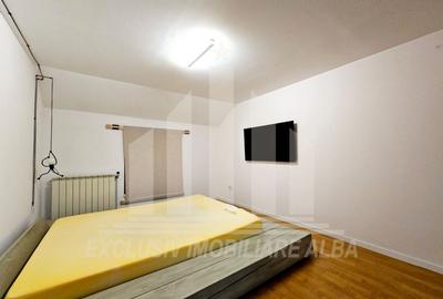 Casa individuala | De inchiriat | 250 mp | 6 camere | Cetate - 13