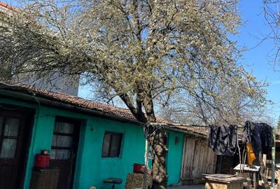 Proprietar, vând teren intravilan 997 mp, MEHALA, str. MOISE DOBOȘAN, preț NEGOC - 3