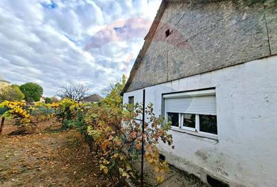 Casa veche cu teren 929 mp- oportunitate in Vladimirescu- comision 0% - 4