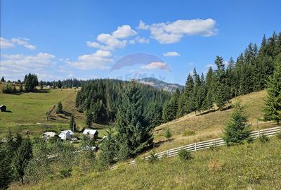 Casă / Vilă de vacanta in Dorna Arini, Suceava - 60