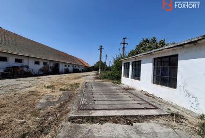 COMISION 0% Spatiu industrial de 695 mp si teren de 1821 mp - Giulvaz - 13