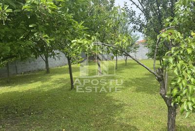 Casă unifamilială în Ghiroda cu teren generos 1752 mp - 9